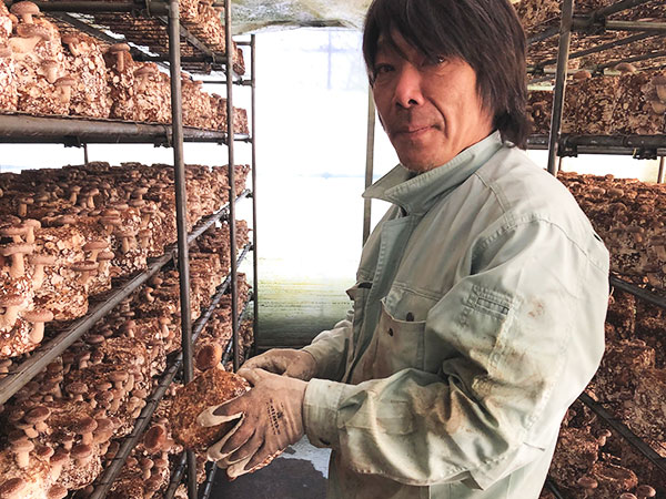 農業組合法人 川根美味しいたけ