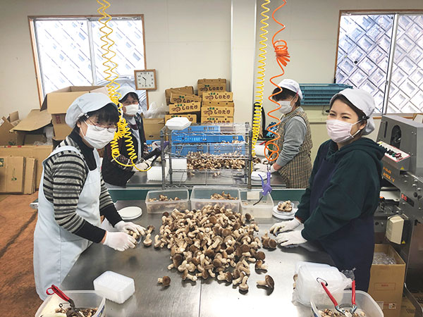 農業組合法人 川根美味しいたけ